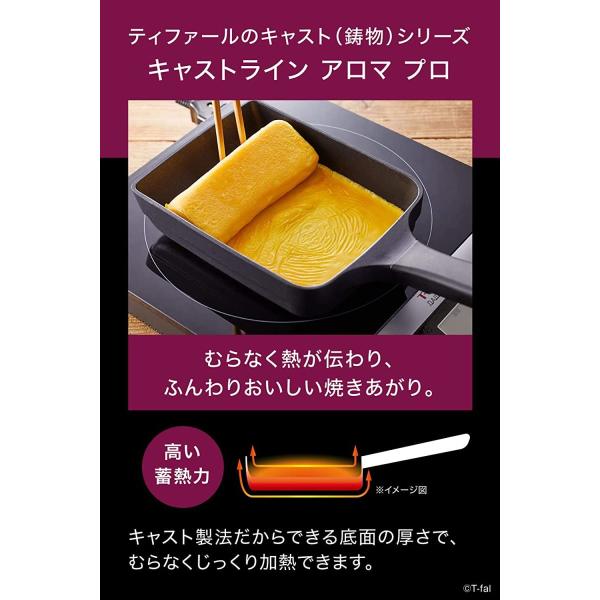 ティファール 玉子焼き器 ブラック 14×18cm キャストライン アロマ プロ エッグロースター E25118