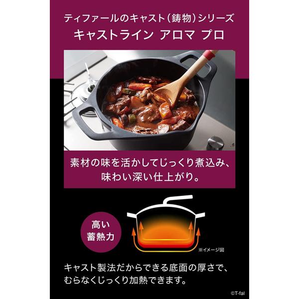 ティファール 両手鍋 20cm 鋳物 IH ガス火対応 キャストライン アロマ プロ シチューポット E25144