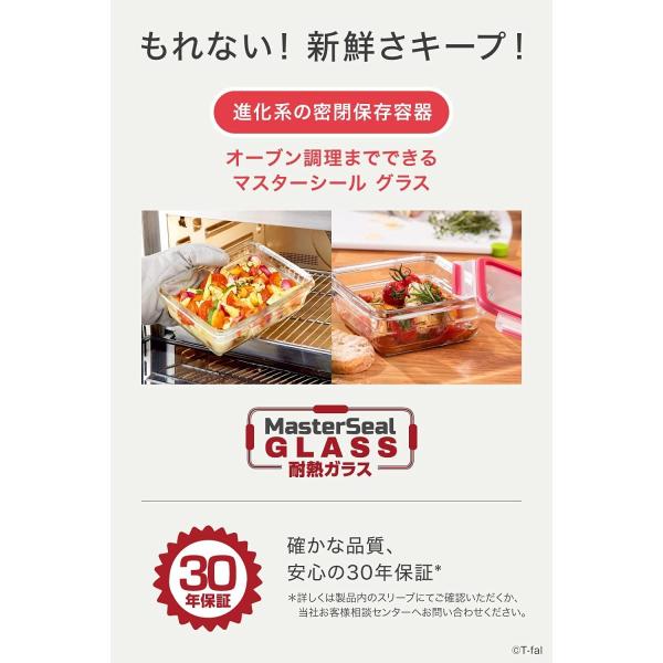 ティファール 密閉保存容器 ガラス製 マスターシール グラス スクエア 800ml N10414