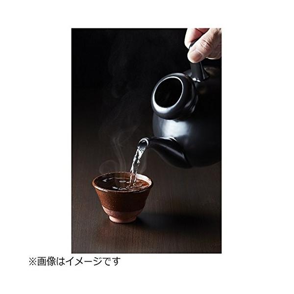 テスコム 酒燗器 SK31