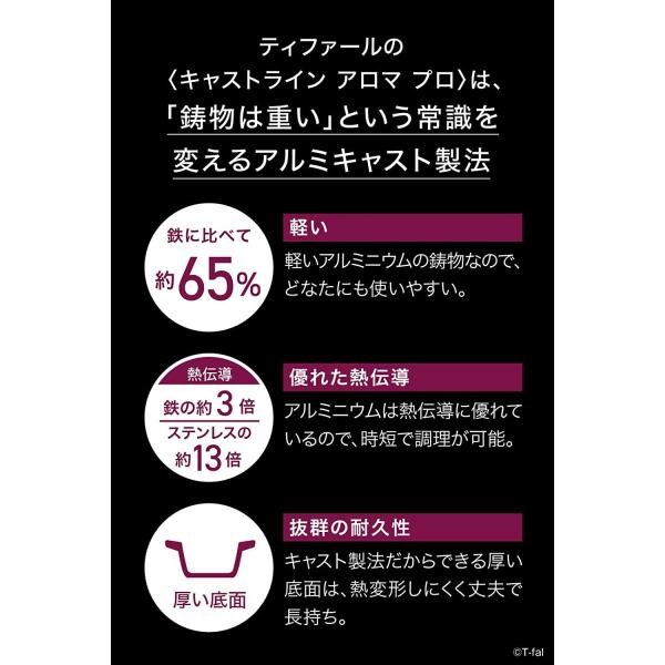 ティファール 玉子焼き器 ブラック 14×18cm キャストライン アロマ プロ エッグロースター E25118