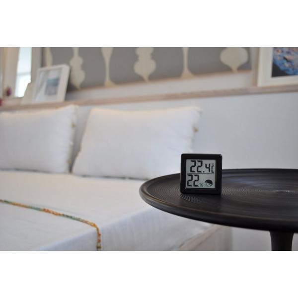 ドリテック 小さい デジタル温湿度計 ブラック O-257BK