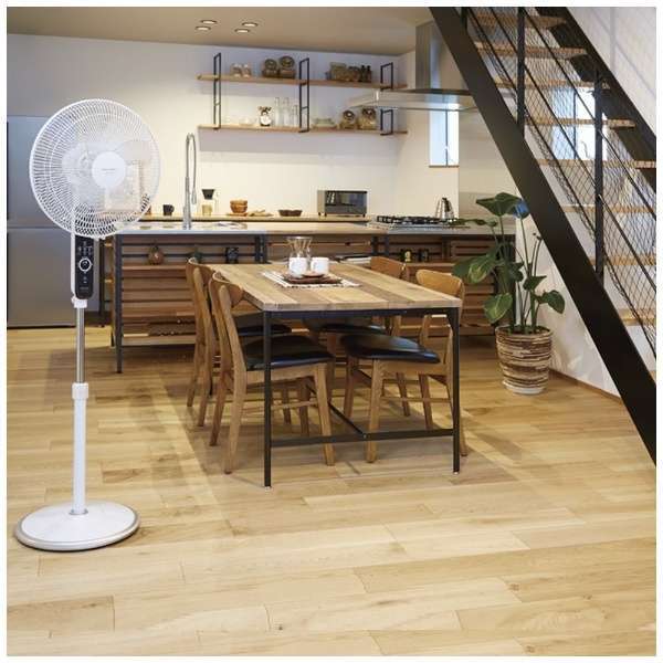 アピックス AC フロアー 扇風機 AFL-253R(WH)