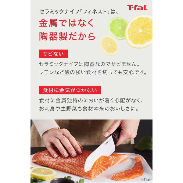 ティファール ペティナイフ ペアリングナイフ フルーツナイフ 11cm フィネスト K17906