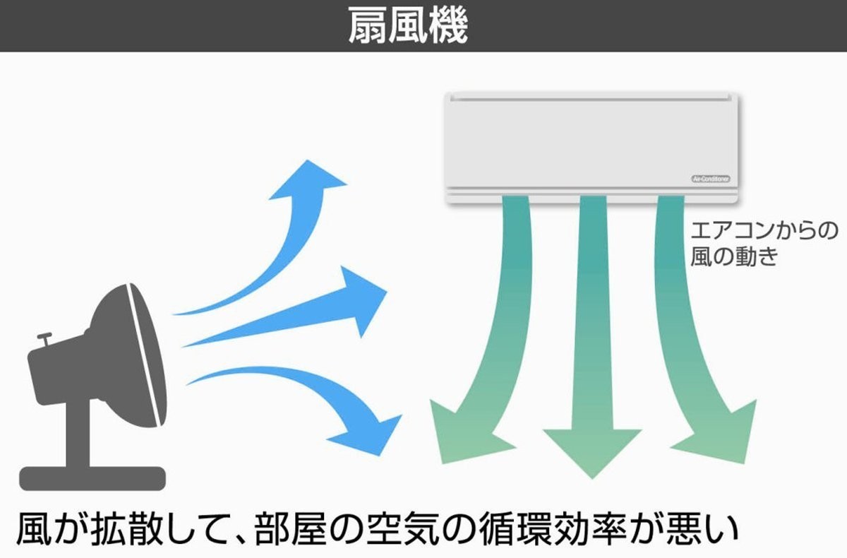 訳あり 箱不良 ゼピール サーキュレーター 左右自動首振り ブラック DKW-20A(F)