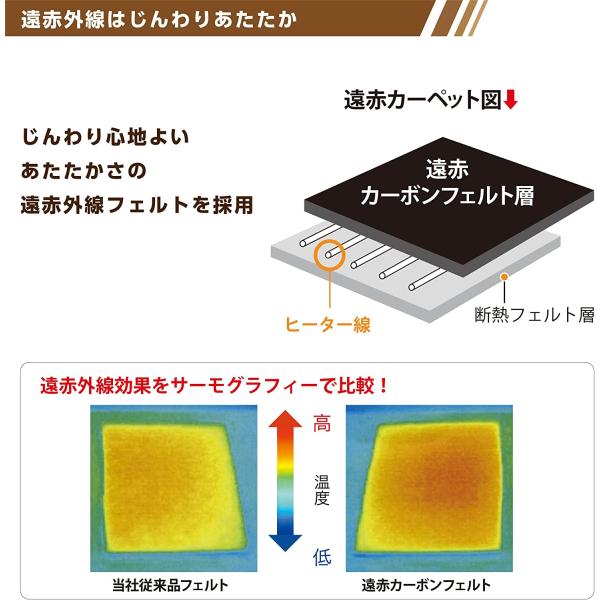 広電 (KODEN) 電気カーペット ホットカーペット 本体 235×195cm 3畳 遠赤 速暖 暖房面切換 8hOFF 室温センサー付 スライド温度調節 ダニクリーン CWC301F-C