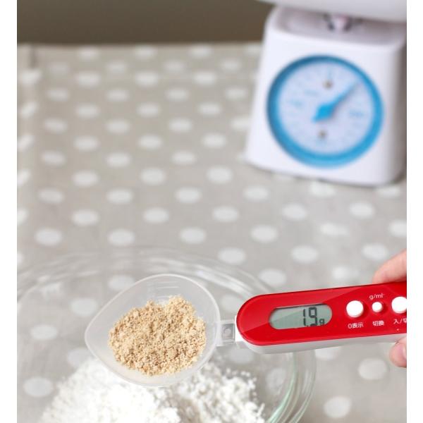 ドリテック すくってはかれる スプーンスケール レッド PS-032