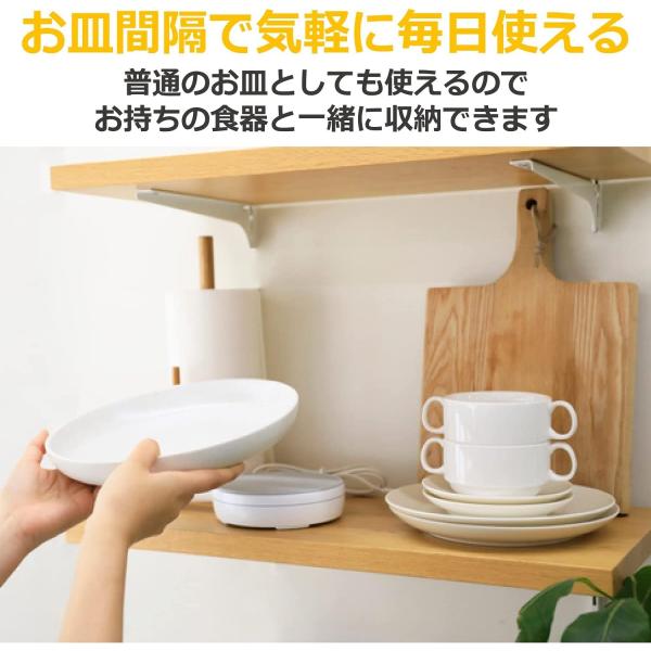 シーシーピー CCP ヒーター付き保温プレート おんさら 温皿 ZHM-DW71-WH