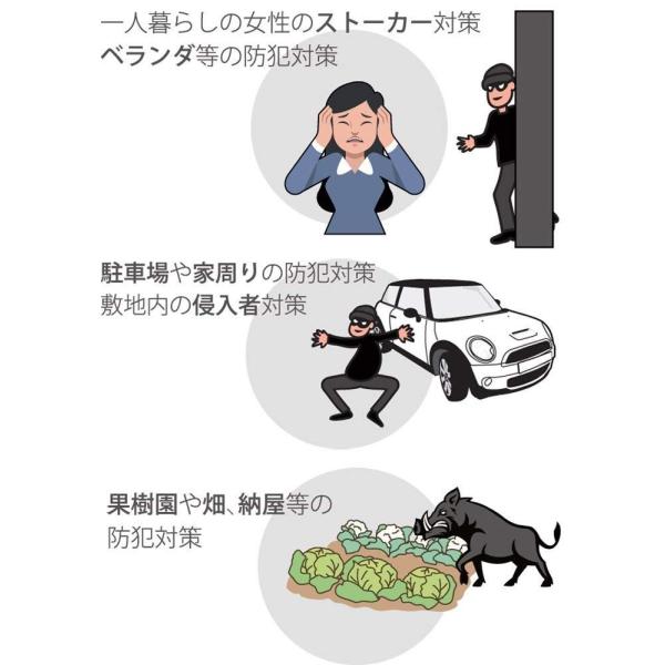 リーベックス 液晶画面付き SDカード録画式センサーカメラ SD3000LCD