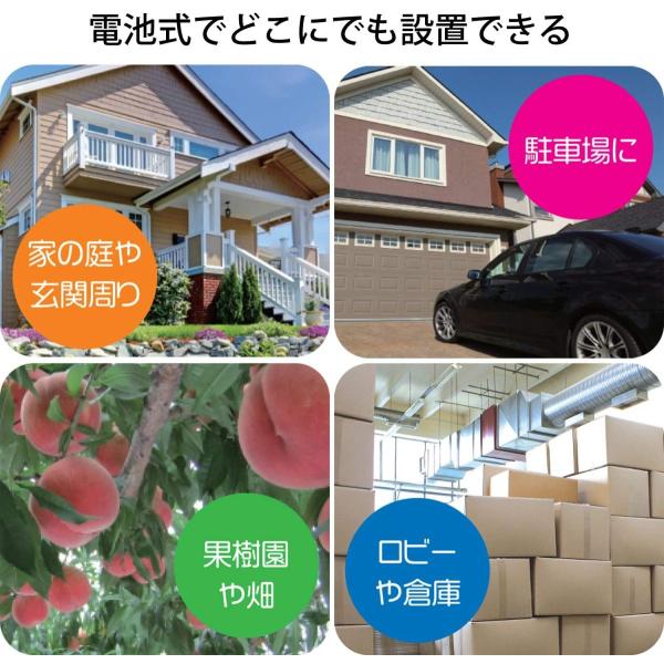 リーベックス センサーダミーカメラ SD-DM1