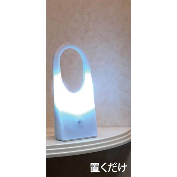 リーベックス センサーライト 吊り下げタイプ SL103