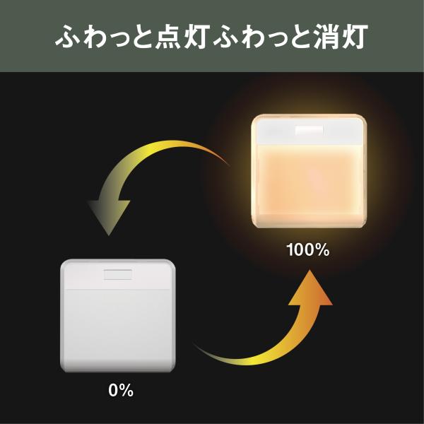 ムサシ RITEX どこでもセンサーライト ワイヤレス(2個入り) W-500