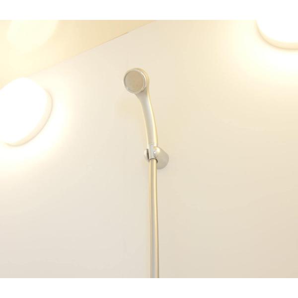 カクダイ バス 金属噴射板シャワー リラックスシャワー プラチナシルバー 356-903-S