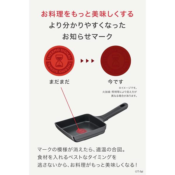 ティファール 玉子焼き器 ブラック 14×18cm キャストライン アロマ プロ エッグロースター E25118