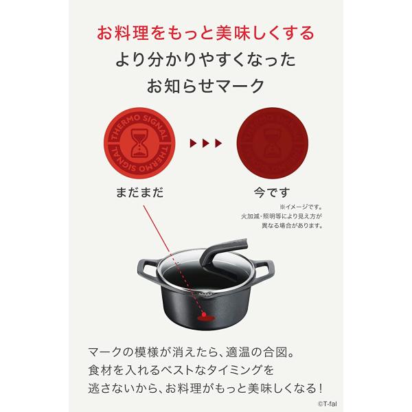 ティファール 両手鍋 20cm 鋳物 IH ガス火対応 キャストライン アロマ プロ シチューポット E25144