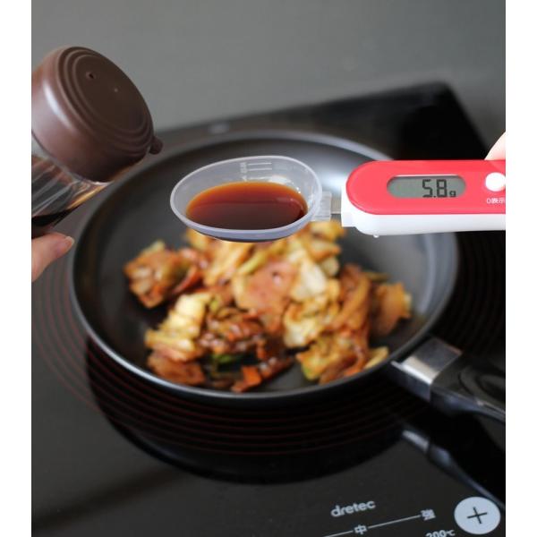 ドリテック すくってはかれる スプーンスケール レッド PS-032
