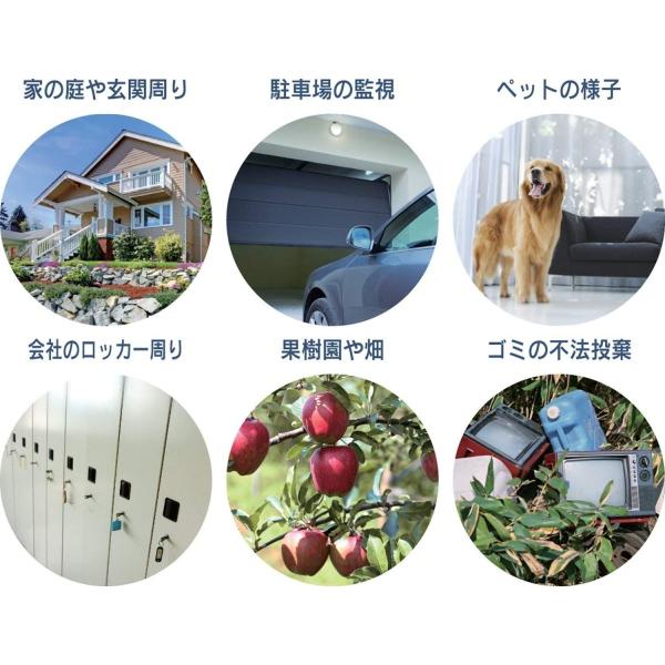 リーベックス 液晶画面付き SDカード録画式センサーカメラ SD3000LCD