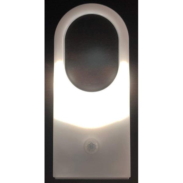 リーベックス センサーライト 吊り下げタイプ SL103