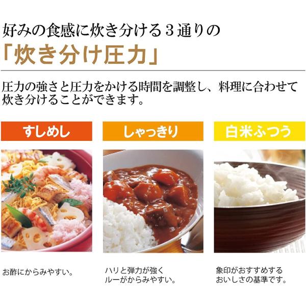 象印 圧力IH炊飯ジャー 5.5合炊き ダークブラウン NP-ZU10(TD)
