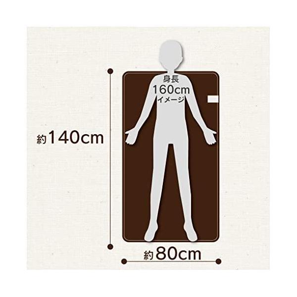 ゼピール 電気敷毛布 抗ウイルス・消臭 140×80cm DM-Y421SL-BR