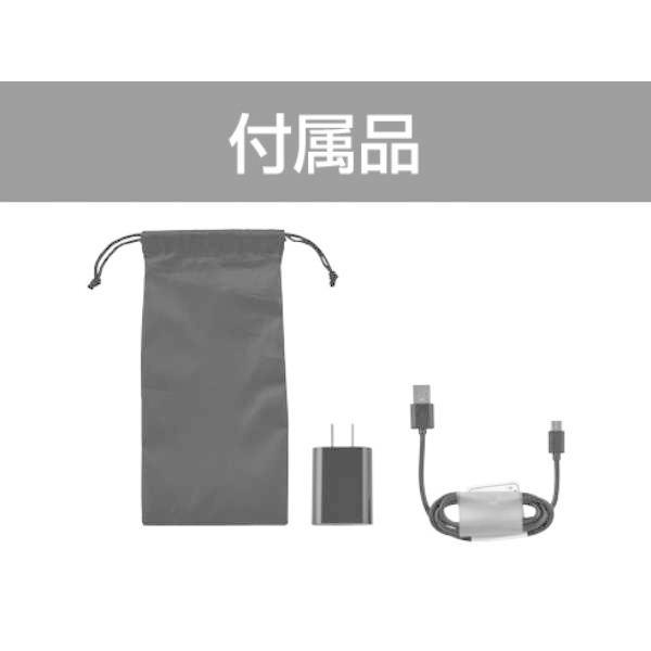 テスコム USBコンパクトブラシアイロン IBC100(P)