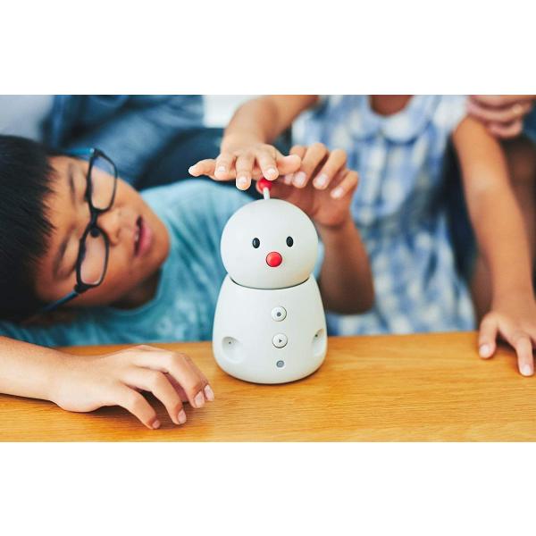 BOCCO emo YE-RB010-GWNJP