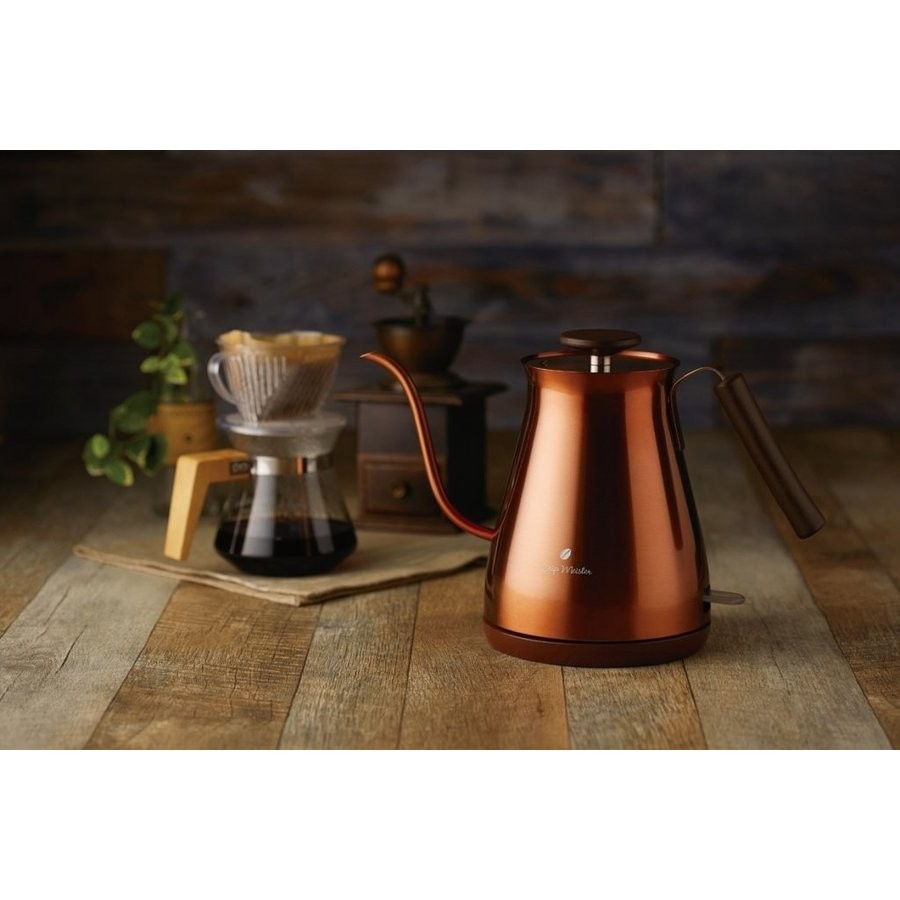 APIX アピックス 電気カフェケトル 0.7L シルバー FSKK-8728 SL