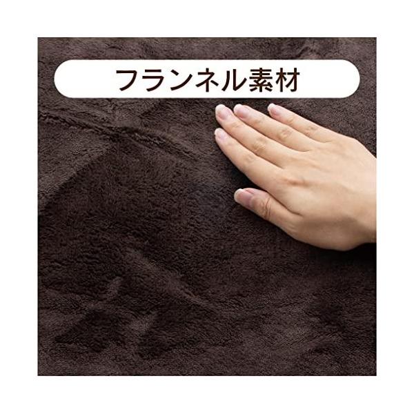 ゼピール 電気敷毛布 抗ウイルス・消臭 140×80cm DM-Y421SL-BR