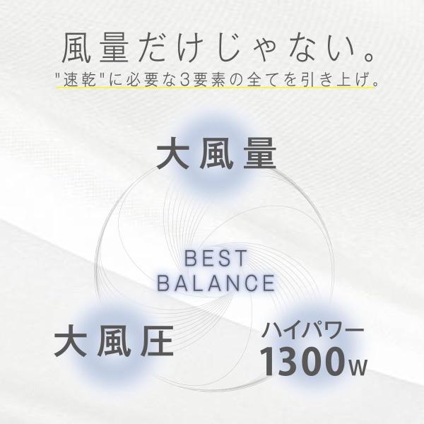 テスコム プロテクトイオンドライヤー Speedom TID2400B-W