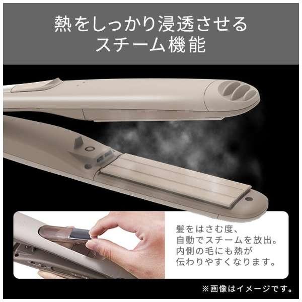 テスコム プロテクトイオン スチーム ストレートアイロン 国内・海外対応 クレイベージュ TS850A(C)