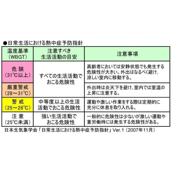 A&D 熱中症指数計/熱中症指数モニター みはりん坊ダブル AD-5687