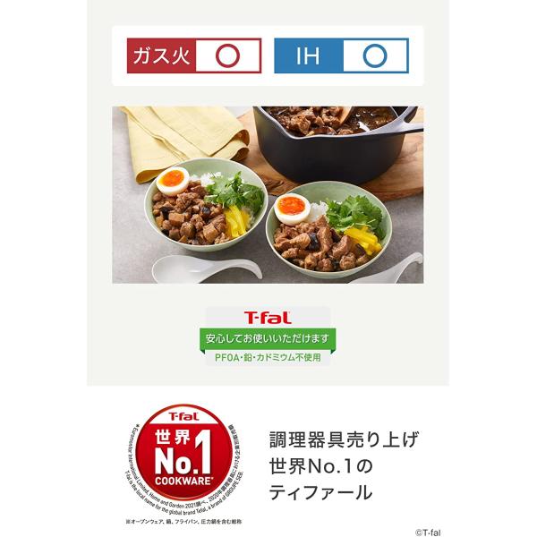 ティファール 両手鍋 20cm 鋳物 IH ガス火対応 キャストライン アロマ プロ シチューポット E25144