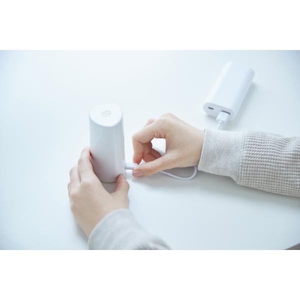 ナチュリセット オゾンウォーターミスト オゾン水除菌消臭スプレー 携帯用 Sモデル SS13-S