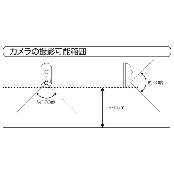 リーベックス microSDカード録画式センサーカメラ ブラック SD1000