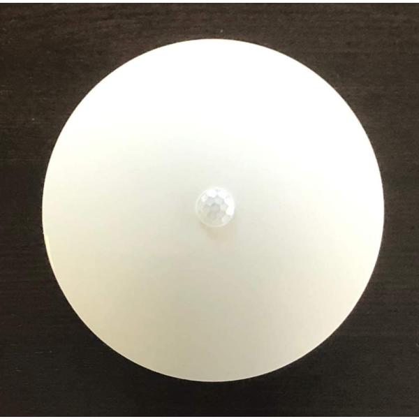 リーベックス センサーライト やさしく光る 丸型 SL101