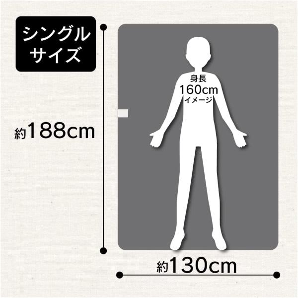 ゼピール 電気掛敷毛布 気になるニオイを瞬間消臭 グレー DM-Y21KSL-GY