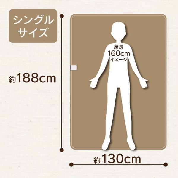 ゼピール 電気掛敷毛布 シャンパン DM-Y10FKSM-CN