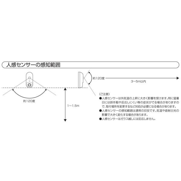 リーベックス microSDカード録画式センサーカメラ ブラック SD1000