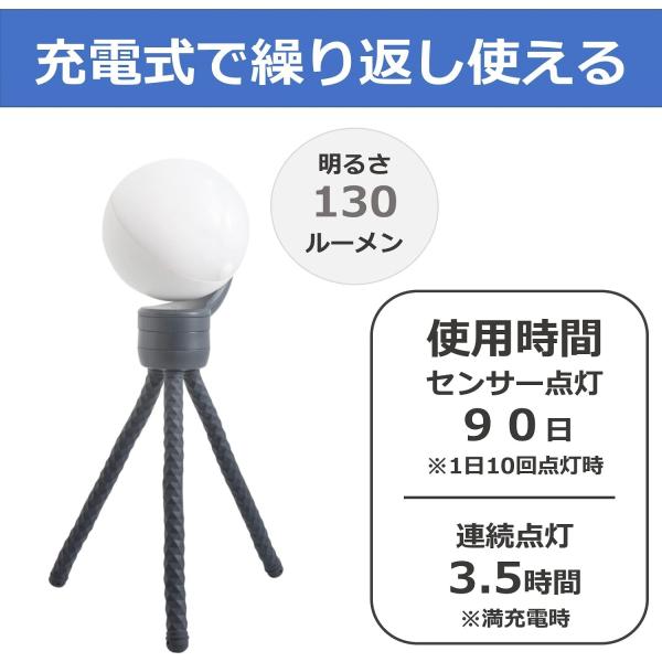 ムサシ RITEX 充電式どこでもセンサーライト ASC-900