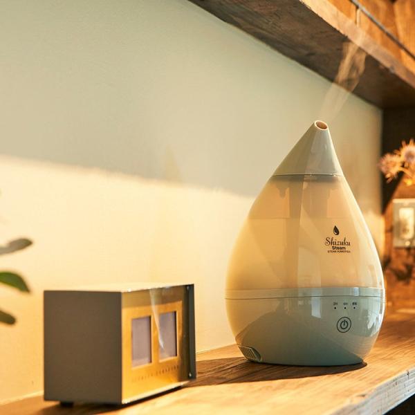 アピックス スチーム式加湿器 木造2-4畳 プレハブ洋室4-6畳 グレージュ AHD-033(GY)