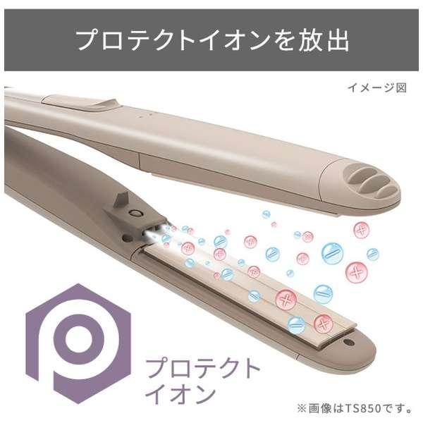 テスコム プロテクトイオン ワイドプレートストレートアイロン 国内・海外対応 クレイベージュ TS750A(C)