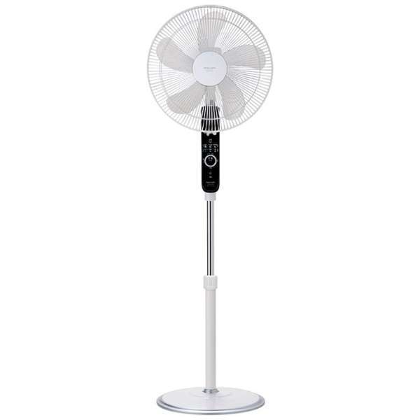 アピックス AC フロアー 扇風機 AFL-253R(WH)
